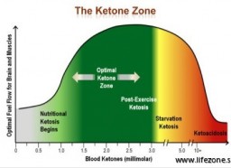 optimal ketozon