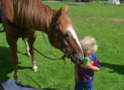 Screen shot 2011-12-26 at 10.28.09 PM