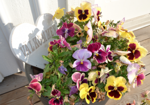 Screen shot 2012-02-27 at 6.34.30 PM