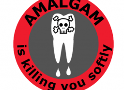 Screen shot 2012-04-17 at 11.36.01 AM